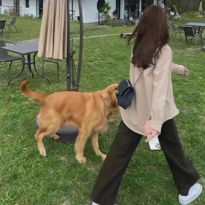 夺魂记