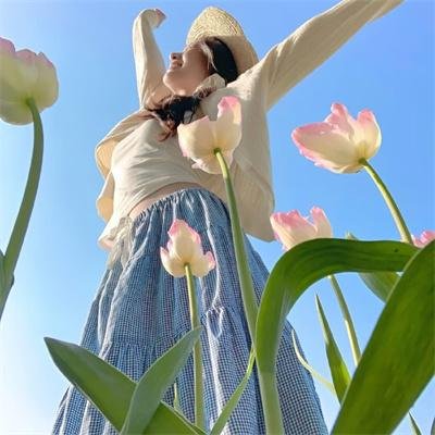 喵星少年漂流记