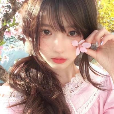 狐狸之声国语